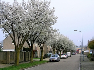 P4120008