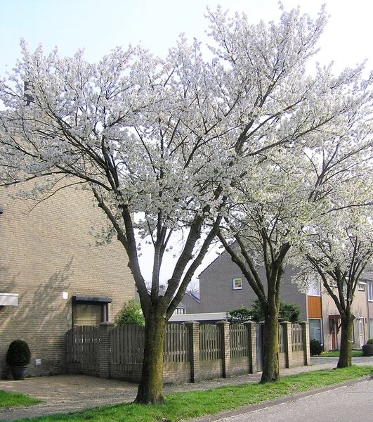 P4140002