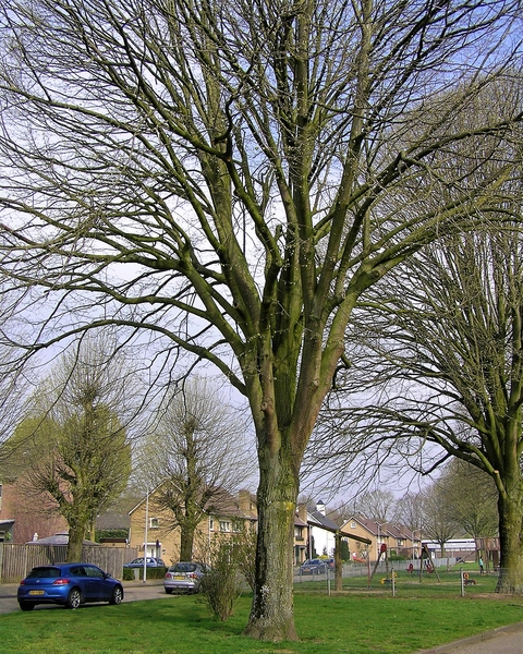 P4140003
