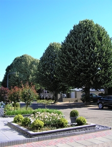 P7150004