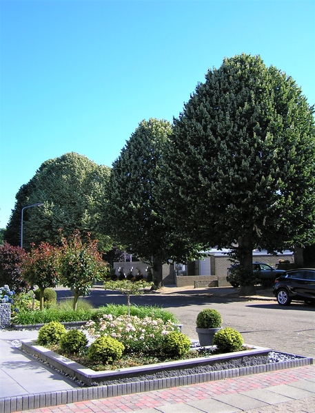 P7150004