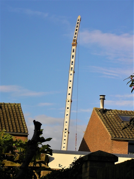 PB130002 (1)