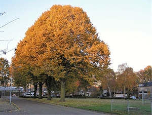 PB150014