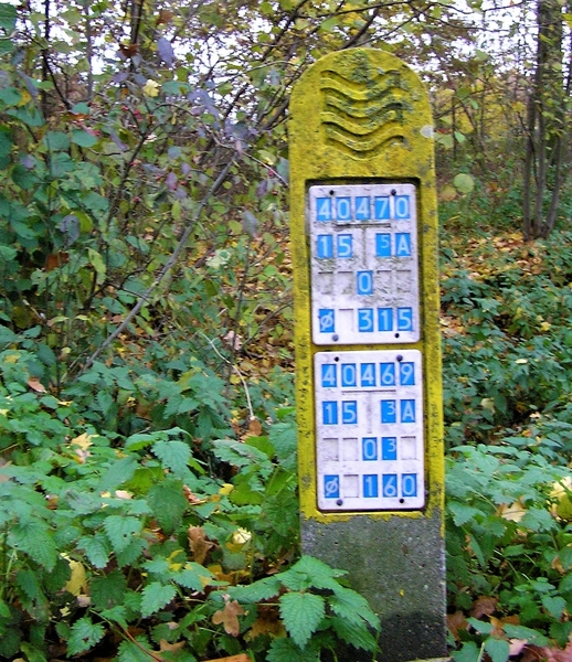 PB280009