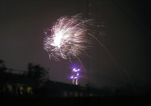P1010017
