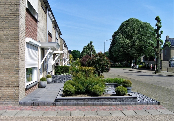 P6011381
