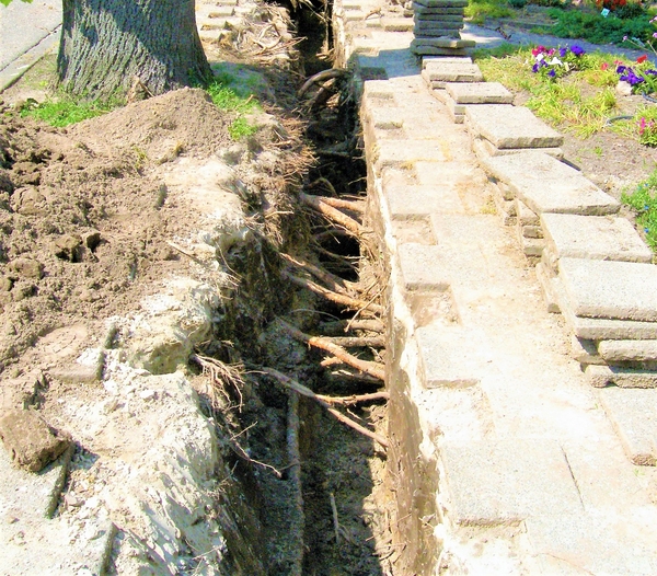 P6111531