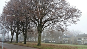 20211206_113402