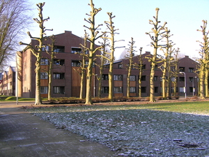 december2008 080