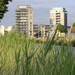 fa36df32_1015079
