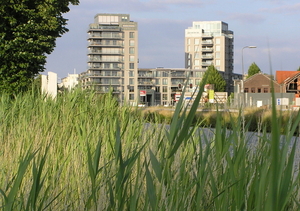 fa36df32_1015079