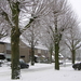 januarie 015