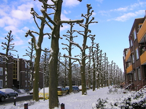 januarie 032