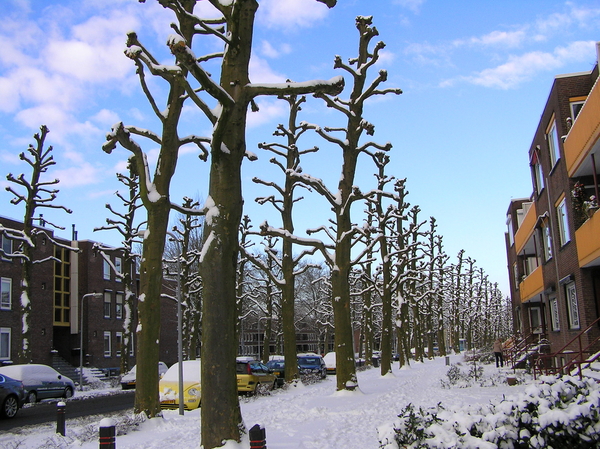 januarie 032