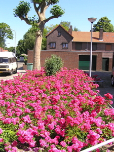 2009 033