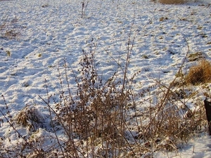 P1100090