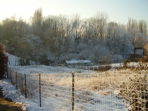 P1100084