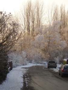 P1100087