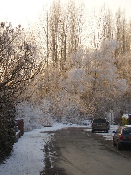 P1100087