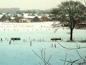 winter 2009-2010 opitter 1