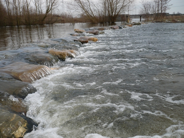 oversteek eiland in de maas