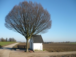 Afbeelding 045