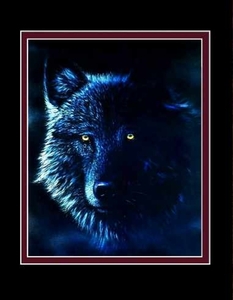 01%20Black%20Wolf