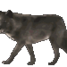 aniselkywolf(1)