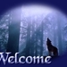 crywelcomelwolf
