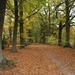 IMG_0111 (Large)