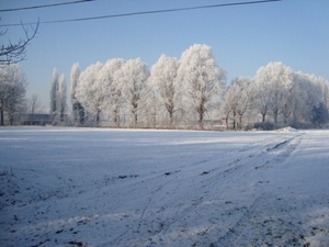 Kopie van winterbeelden 054