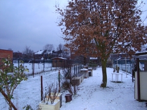 winterbeelden 002