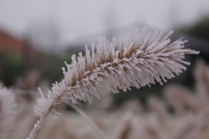 een winterdag 035