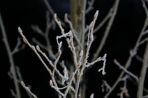 een winterdag 040