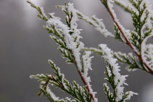 een winterdag 055