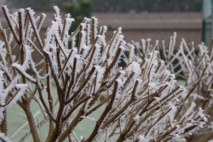 een winterdag 057