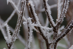 een winterdag 058