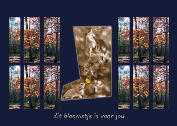 bloemetje voor jou