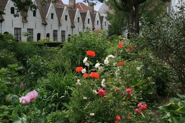 België Brugge 29 (Large) (Medium)