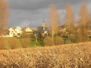 799px-Heldergem_-_zonnige_herfstdag_2008_-_Belgi%C3%AB