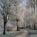 december_2007_047
