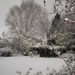 DSC00578