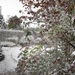 DSC00579
