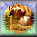 micky--3