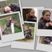 collage
