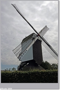 molen meerhout