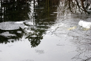 Duikers Aquapol bij visclub De Kodde (41)