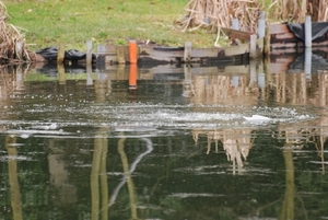 Duikers Aquapol bij visclub De Kodde (44)