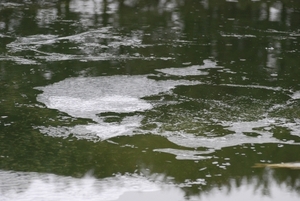 Duikers Aquapol bij visclub De Kodde (59)