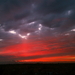DSCN0544